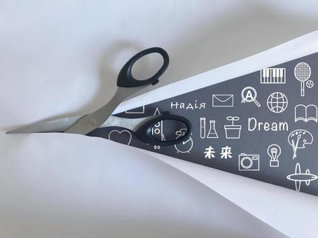 「前例」の価値