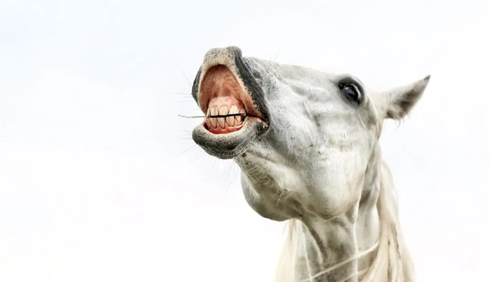 新年あけましておめでとうございます。